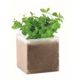 compost cu seminte MINT
