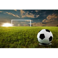 Delko minge de fotbal